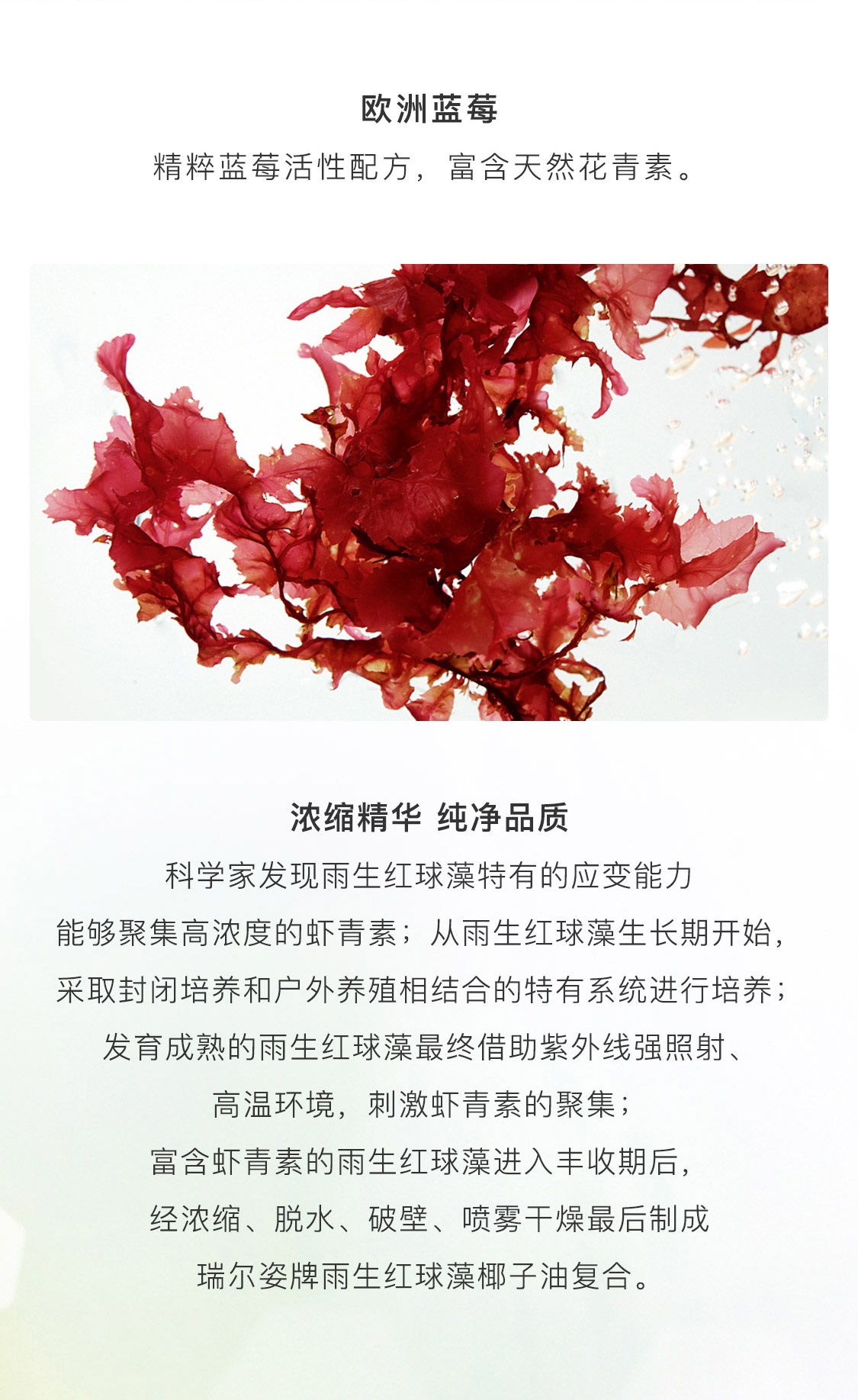 蝦青素