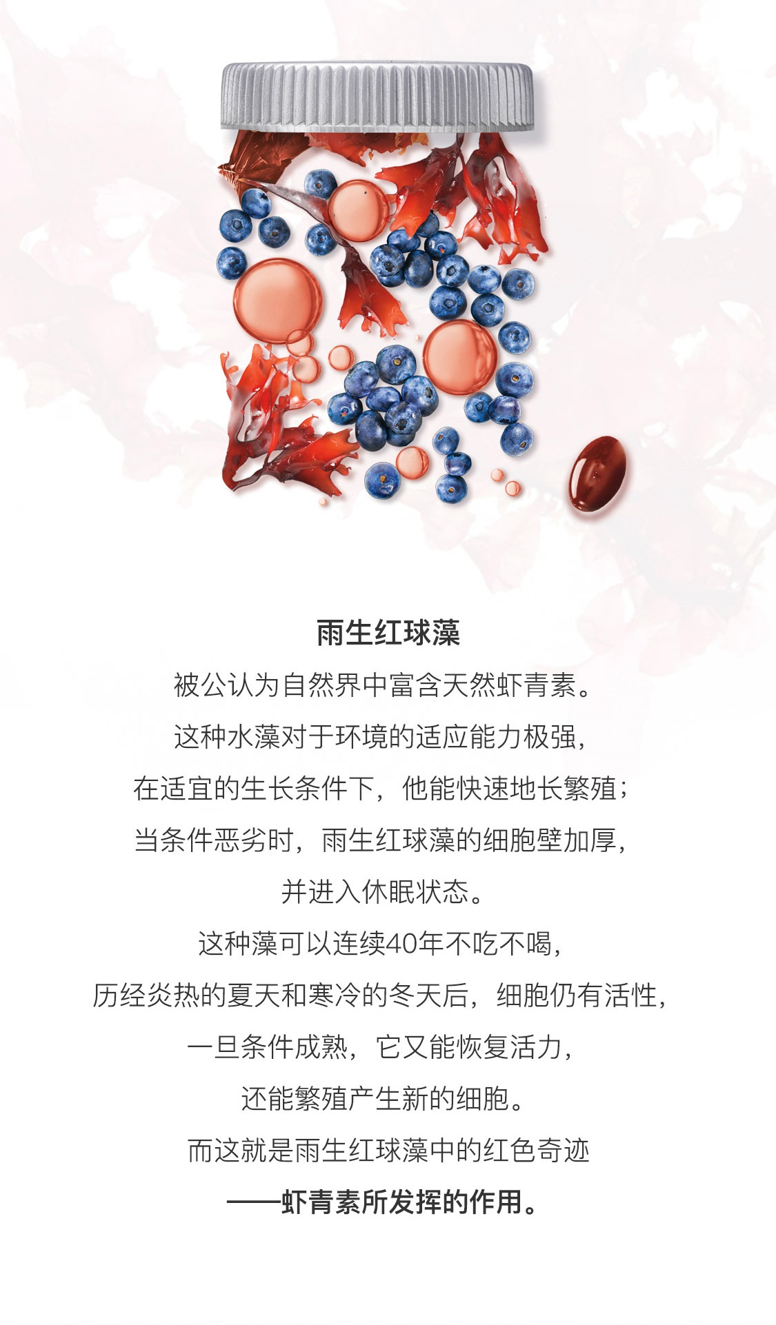 蝦青素