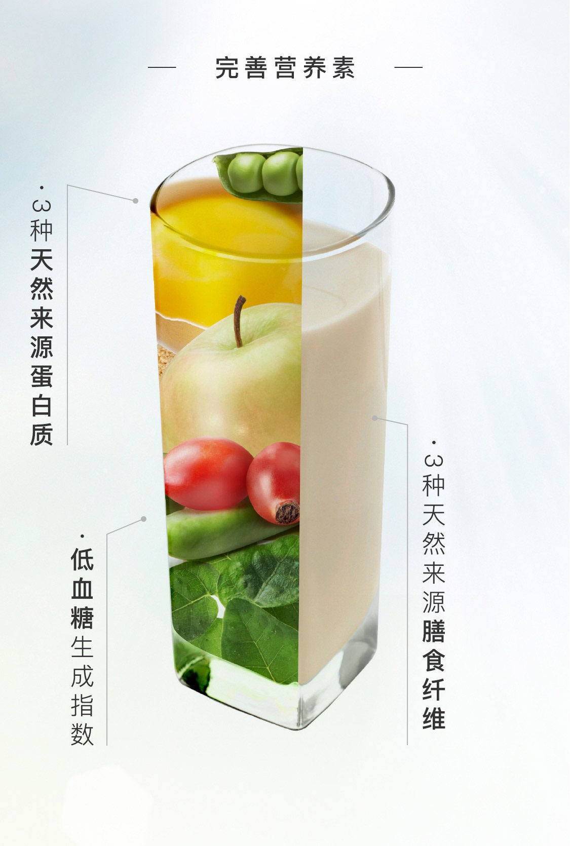 瑞爾姿復合蛋白粉(巧克力味)