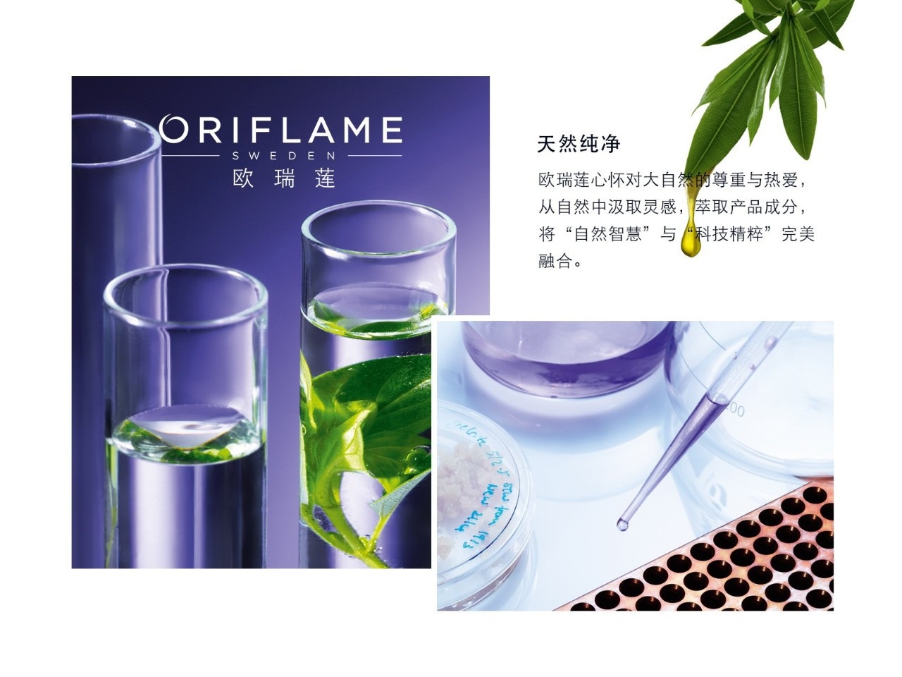 歐瑞蓮護膚產品背后的研發熱情！