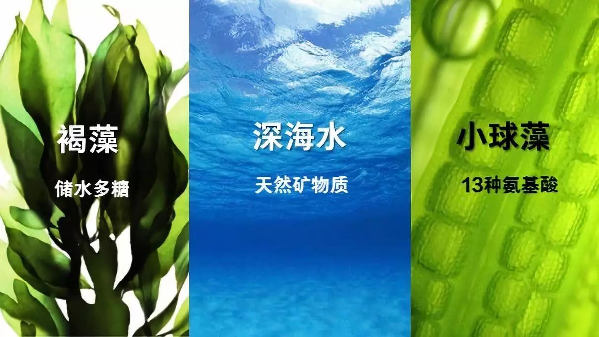 優萃佳顏