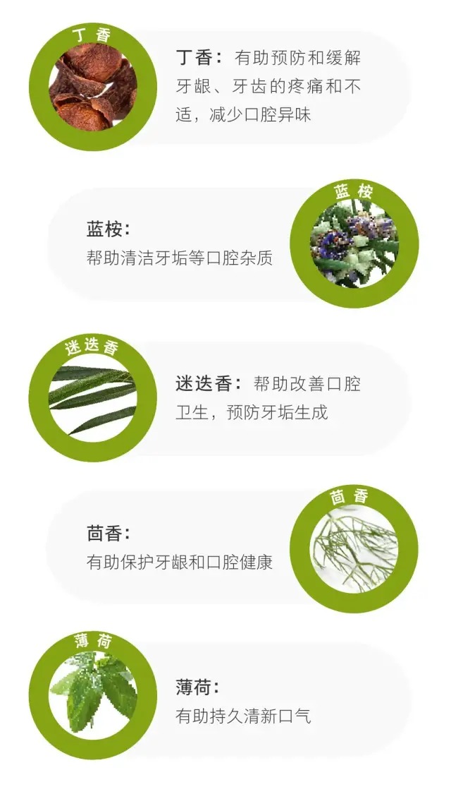 歐瑞蓮